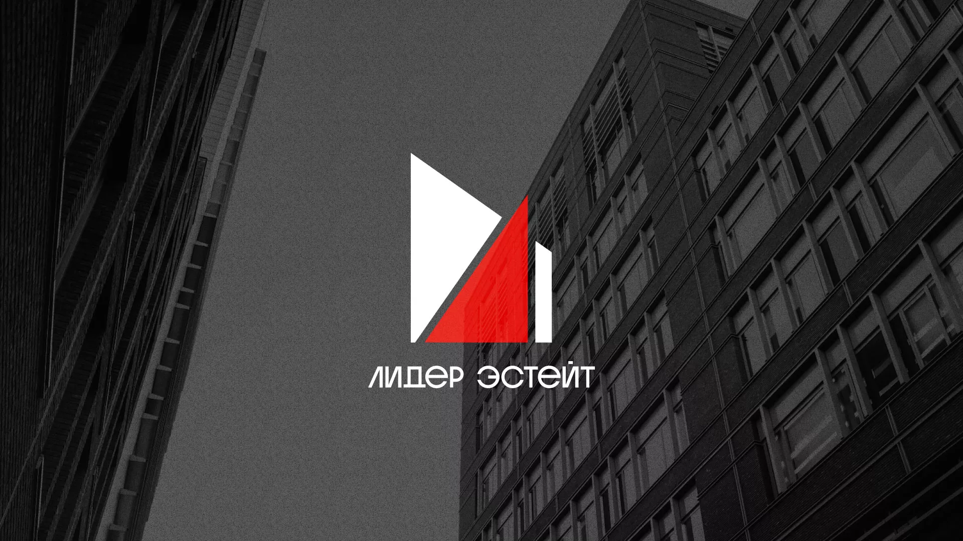 Сделали логотип для агентства недвижимости «Лидер Эстейт» в Северодвинске